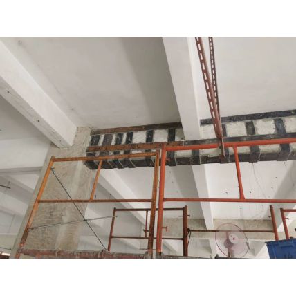 主體結(jié)構(gòu)加固 主體結(jié)構(gòu)加固